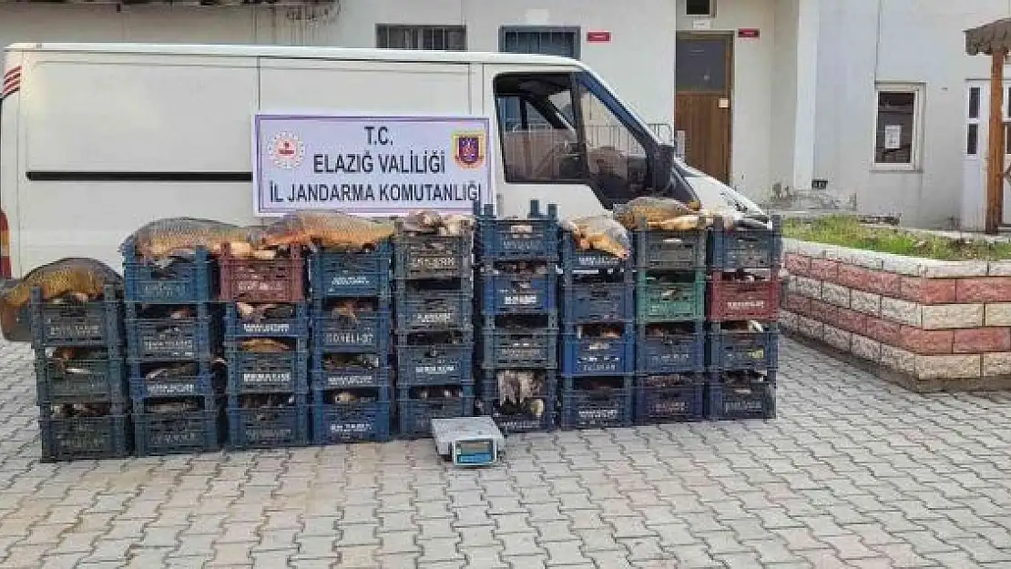 'Elazığ´da 3 kaçak avcıya, 22 bin lira ceza kesildi'