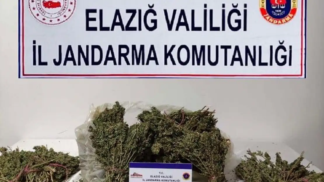 'Elazığ´da 4,5 kilo esrar ele geçirildi'