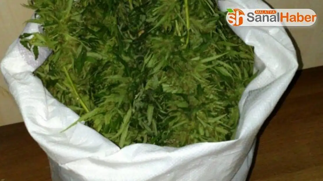 Elazığ'da 4 kilo esrar ele geçirildi, 1 şüpheli yakalandı
