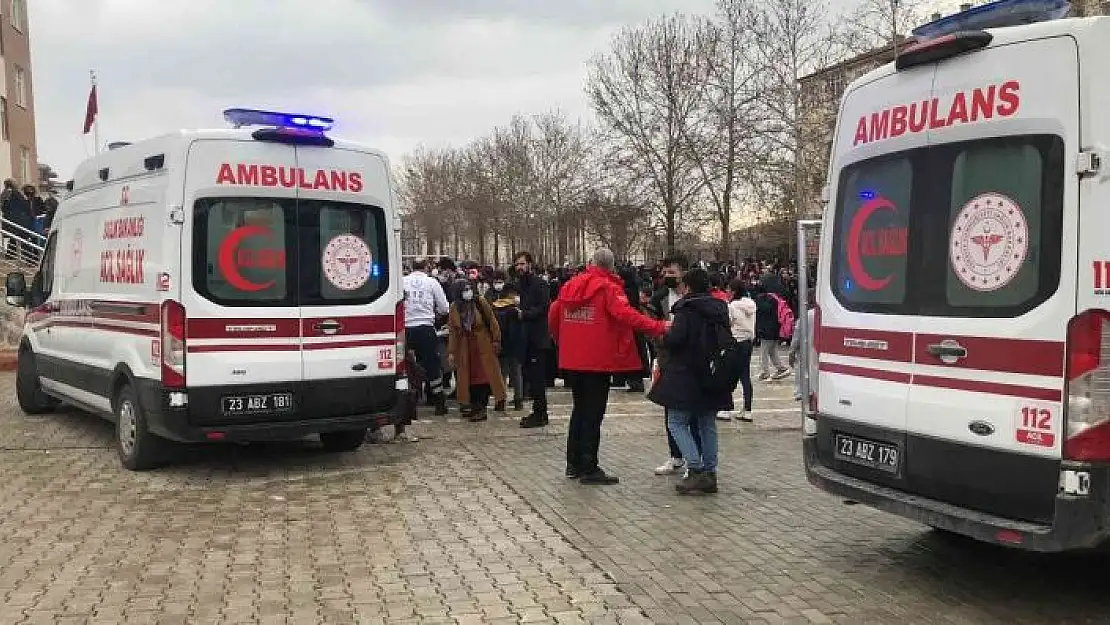 'Elazığ´da 50 öğrenci hastanelik oldu'