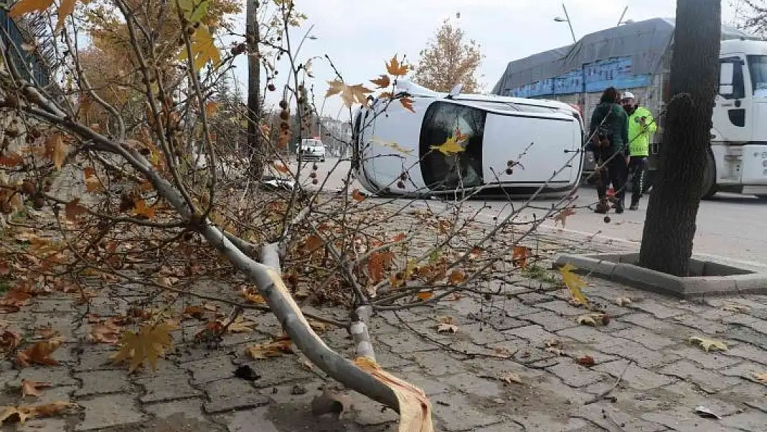 'Elazığ´da ağaca çarpan otomobil yan yattı: 1 yaralı'