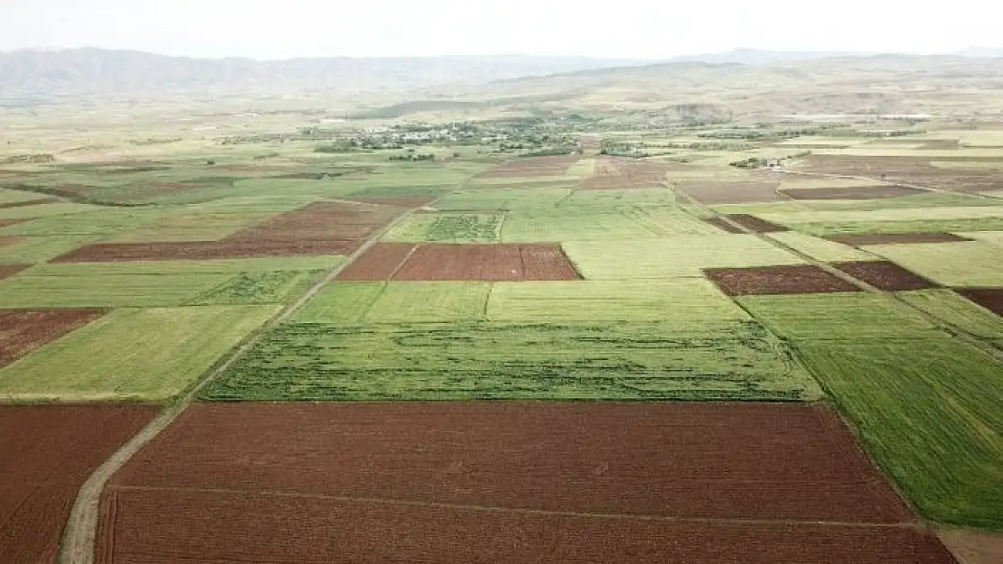 'Elazığ´da arazi toplulaştırma çalışmaları sürüyor'