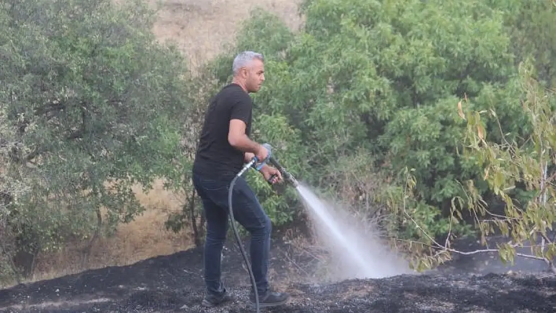 'Elazığ´da bahçe yangınında 20 dönüm alan zarar gördü'