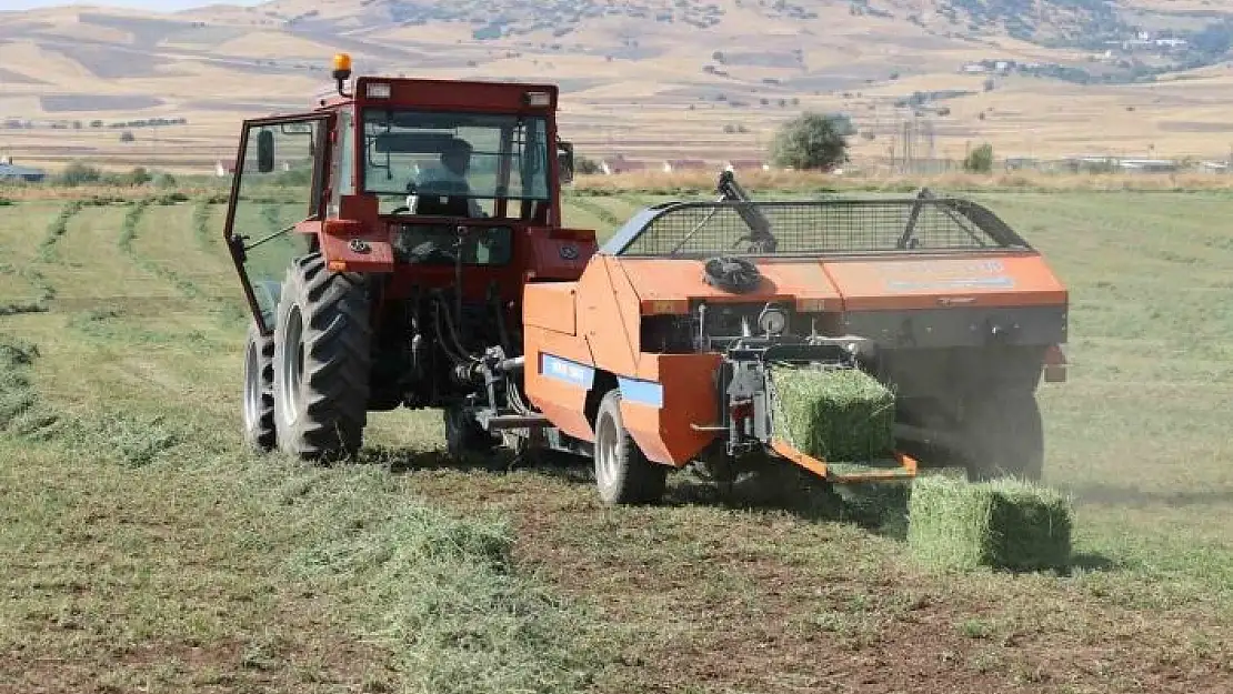 'Elazığ´da balyalama  mesaisi başladı'