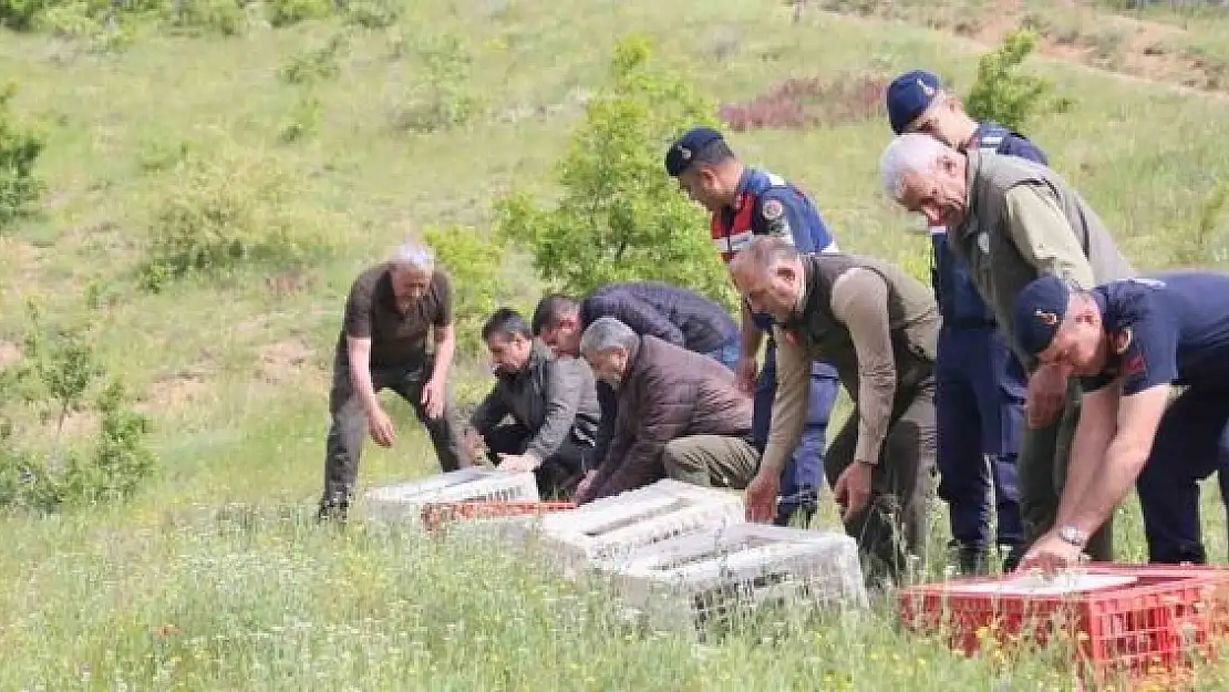 'Elazığ´da doğaya keklik salımı yapıldı'