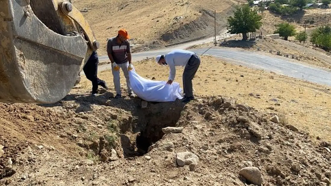 'Elazığ´da etrafa saçılan kemikler toplanıp kefenlendikten sonra yeniden defnedildi'