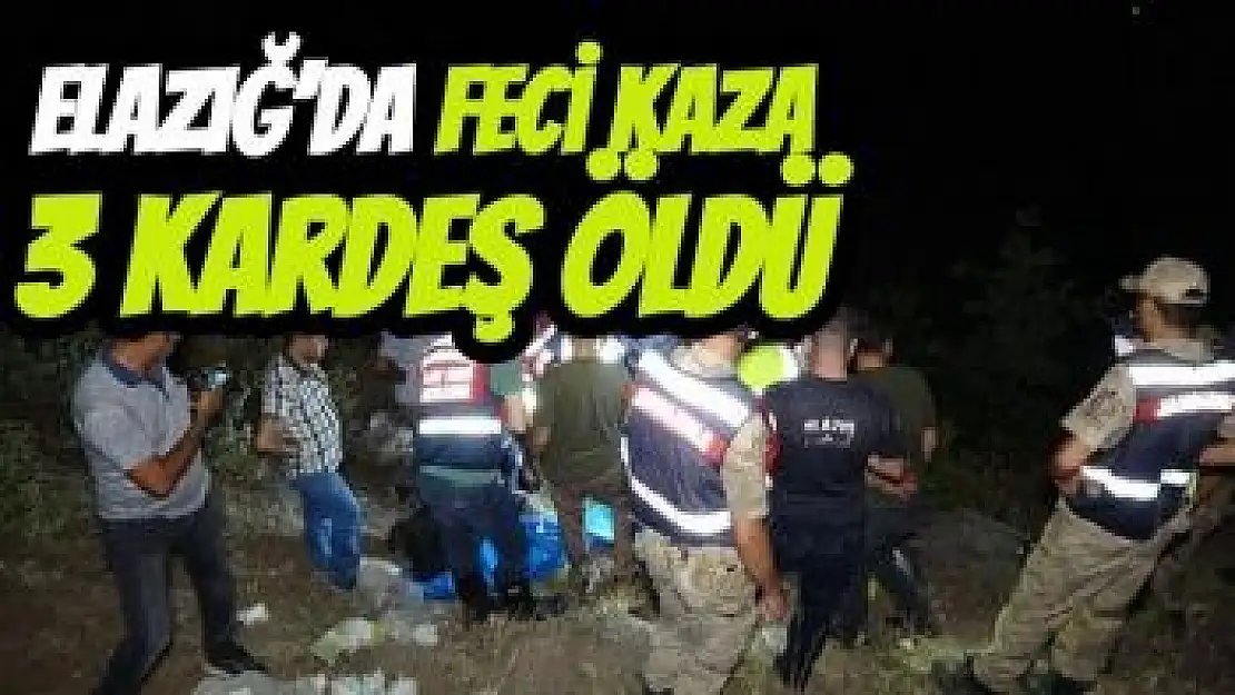 Elazığ´da Feci Kaza 3 kardeş öldü