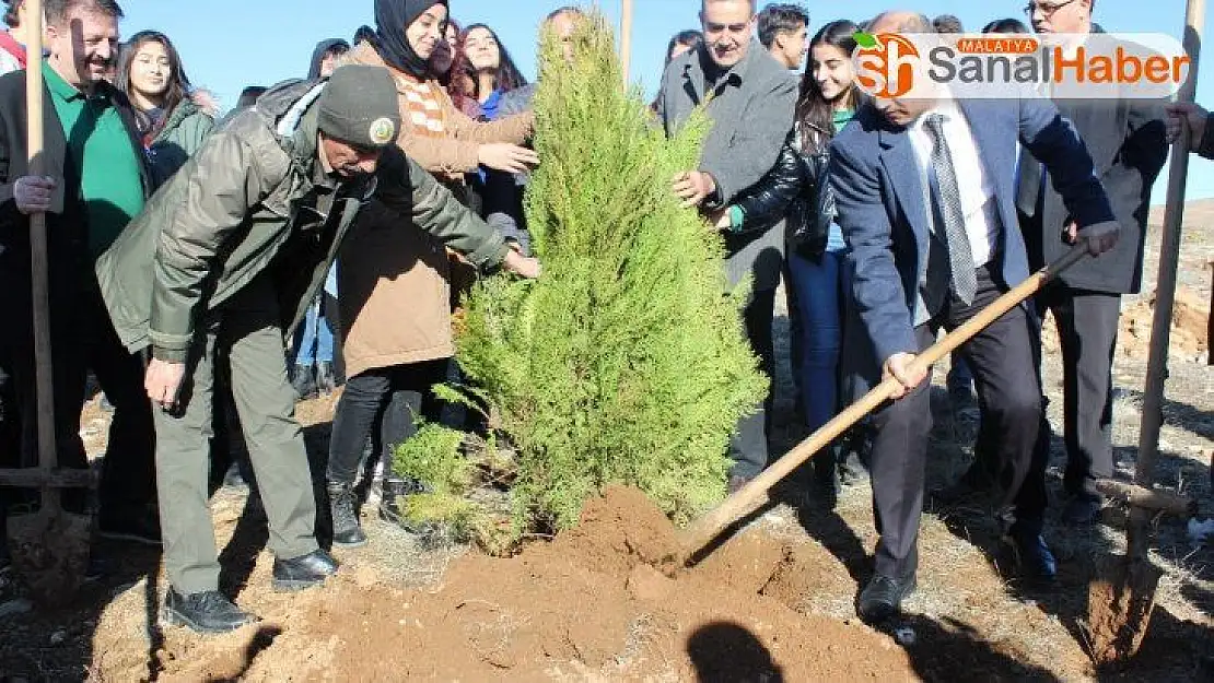 Elazığ'da Hayrettin Karaca anısına 200 fidan dikildi