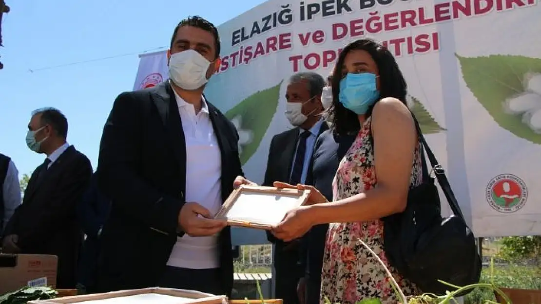 'Elazığ´da ipek böcekçiliği yeniden canlanıyor'