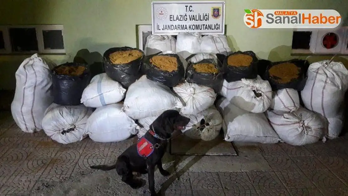 Elazığ'da jandarma 2 ton 370 kilo kaçak tütün ele geçirdi