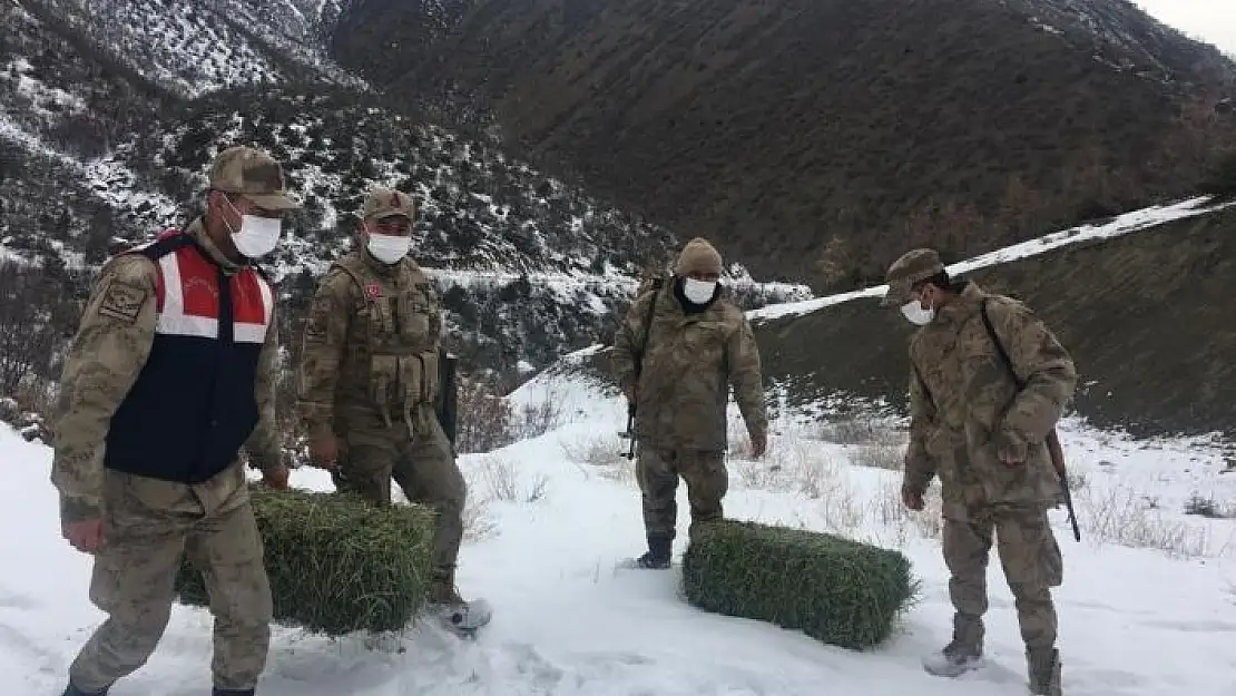 'Elazığ´da jandarma, yaban hayatı için doğaya yem bıraktı'