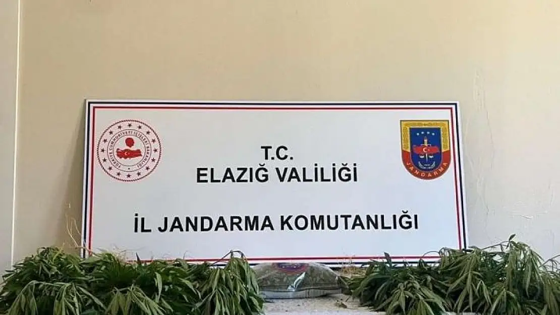 'Elazığ´da jandarmadan eş zamanlı uyuşturucu operasyonu'