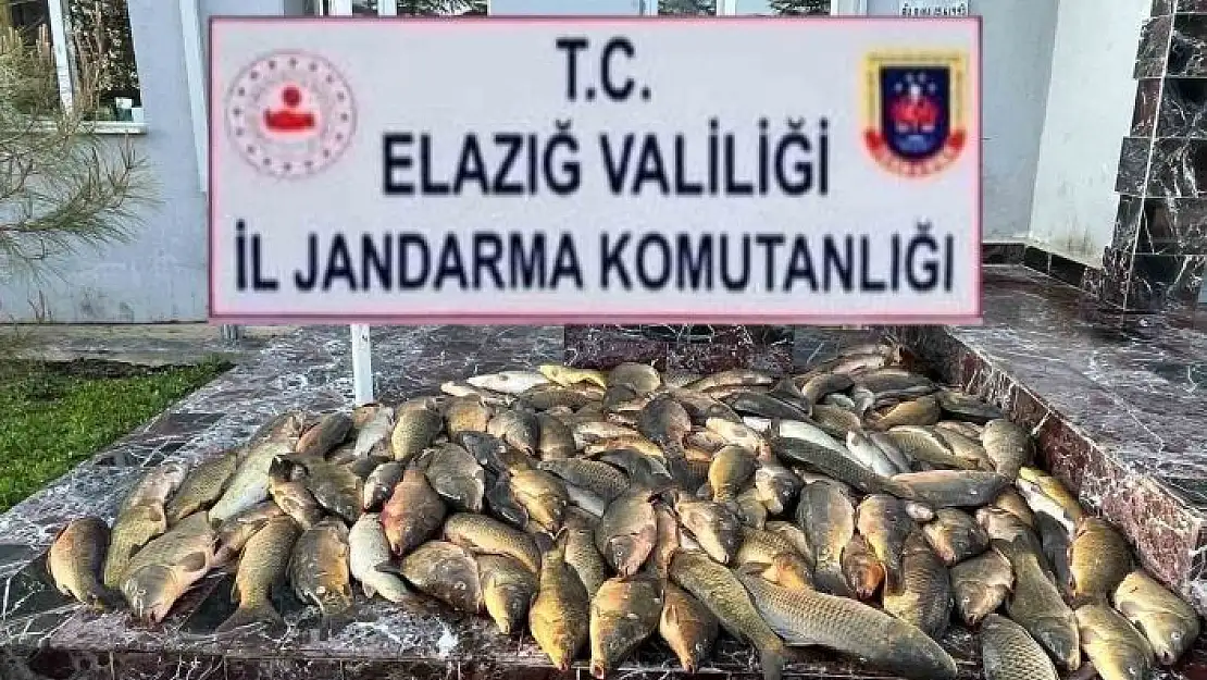 'Elazığ´da kaçak balık avı yapan 3 şahsa, 49 bin lira ceza'