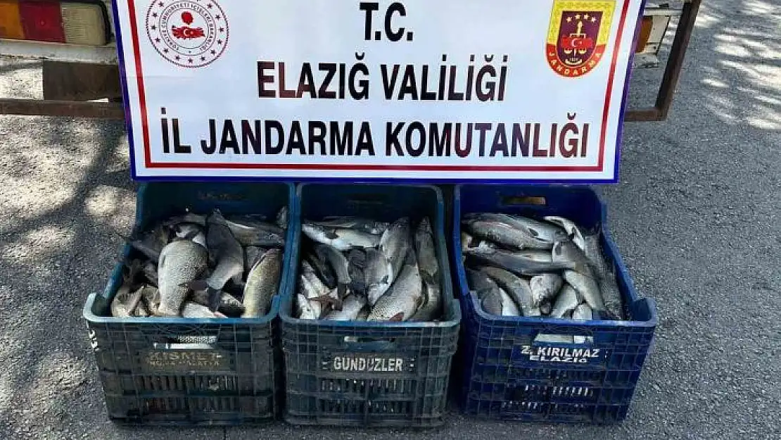 'Elazığ´da kaçak balık avı yapan şüpheli yakalandı'