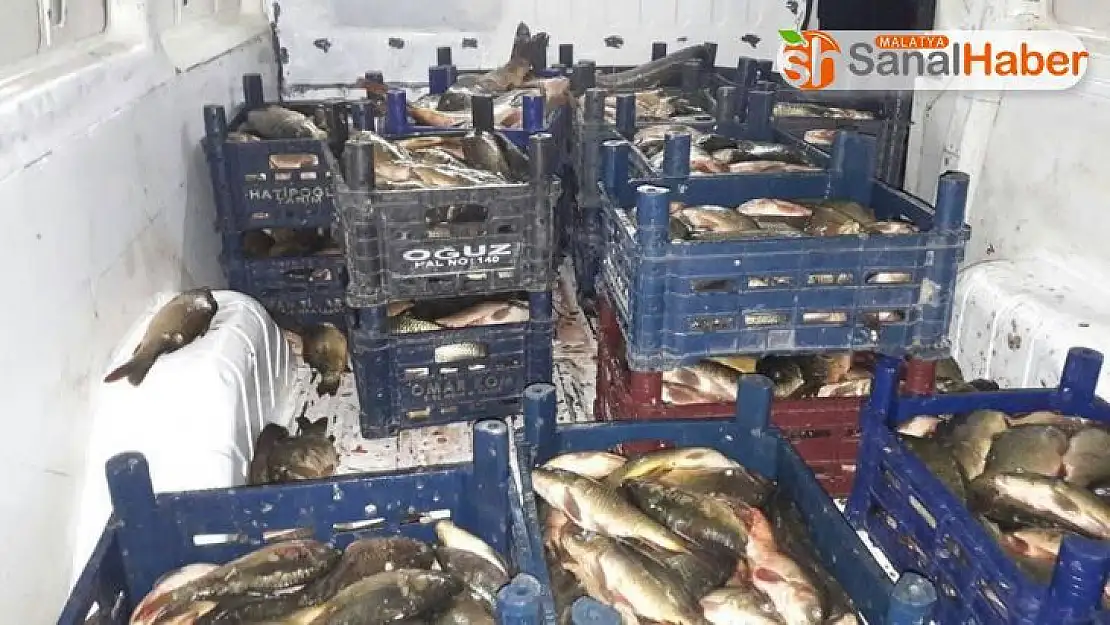 Elazığ'da kaçak balık avına 10 bin TL ceza kesildi