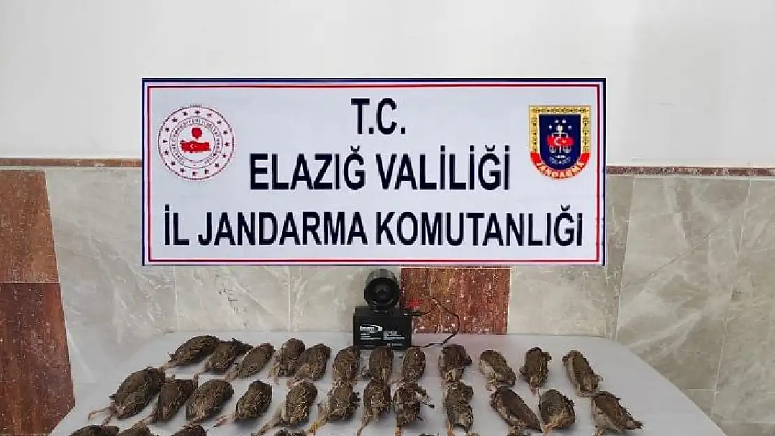 'Elazığ´da kaçak bıldırcın avına 8 bin 220 lira ceza'