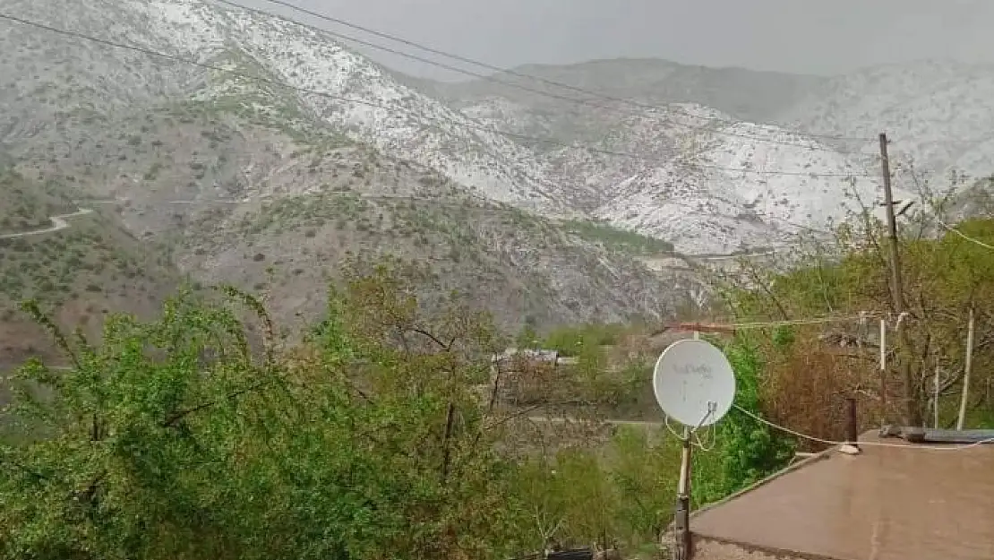 'Elazığ´da kayısıyı dolu vurdu'