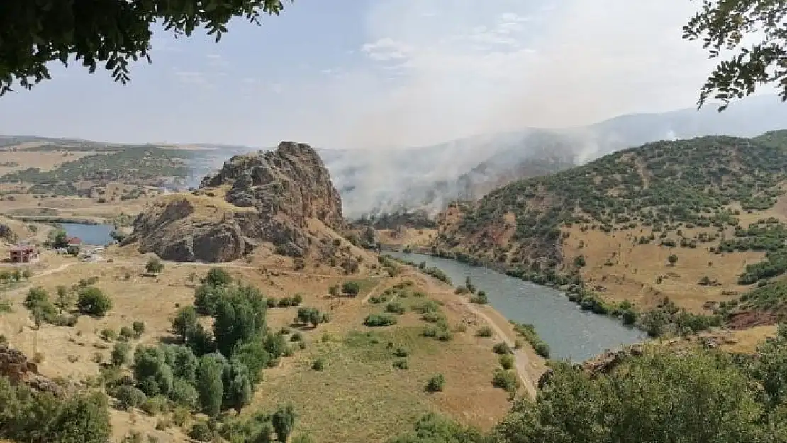 'Elazığ´da ki orman yangını söndürüldü, 150 dönüm alan zarar gördü'
