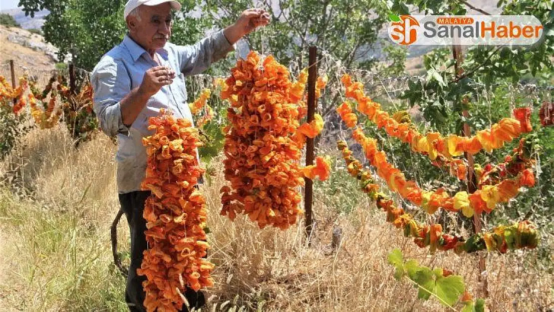 Elazığ'da kış için 'kurutmalık' mesaisi  başladı