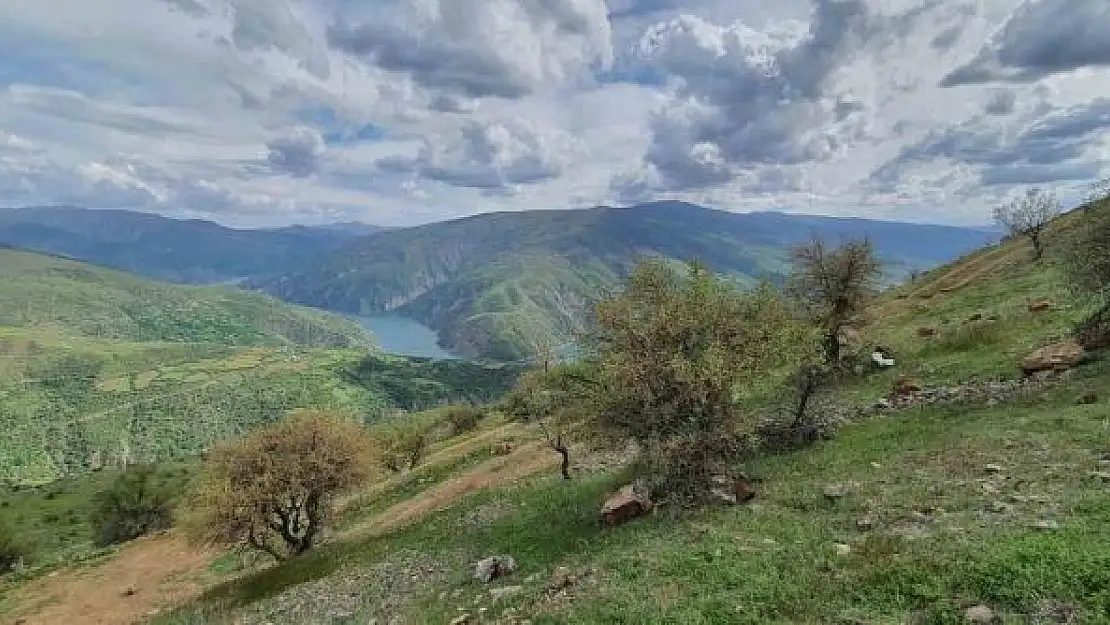 'Elazığ´da makinalı toprak işleme çalışmaları başladı'