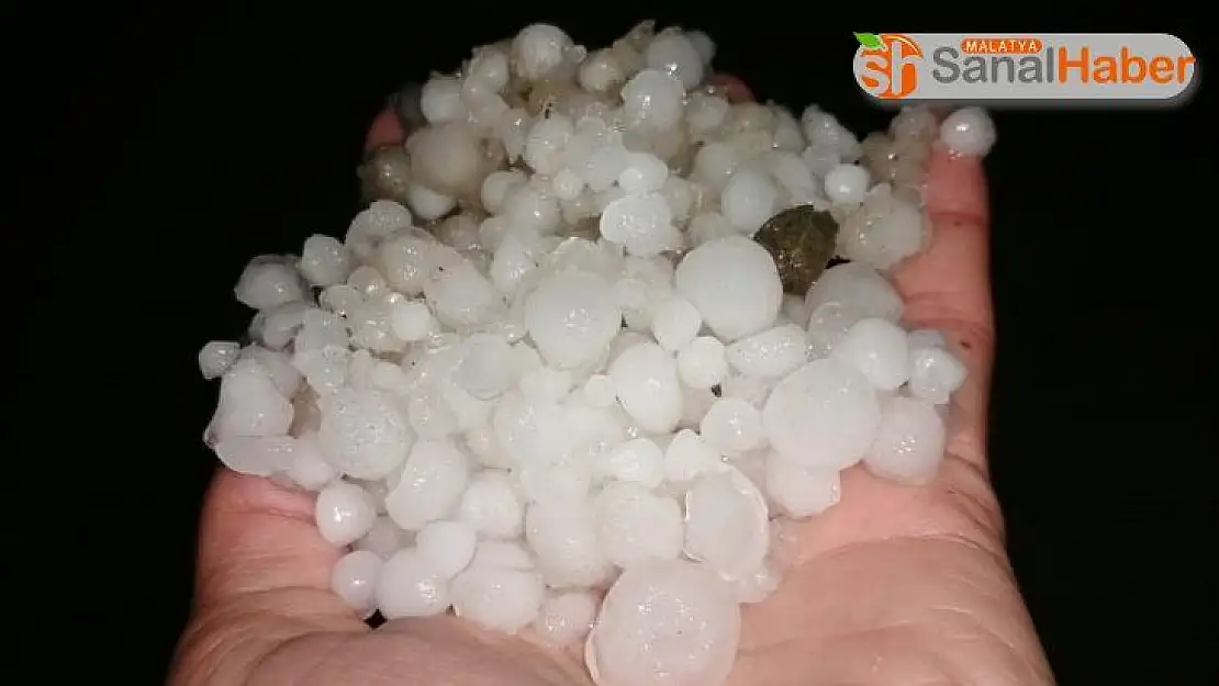 Elazığ'da misket büyüklüğündeki dolu, bahçelere zarar verdi