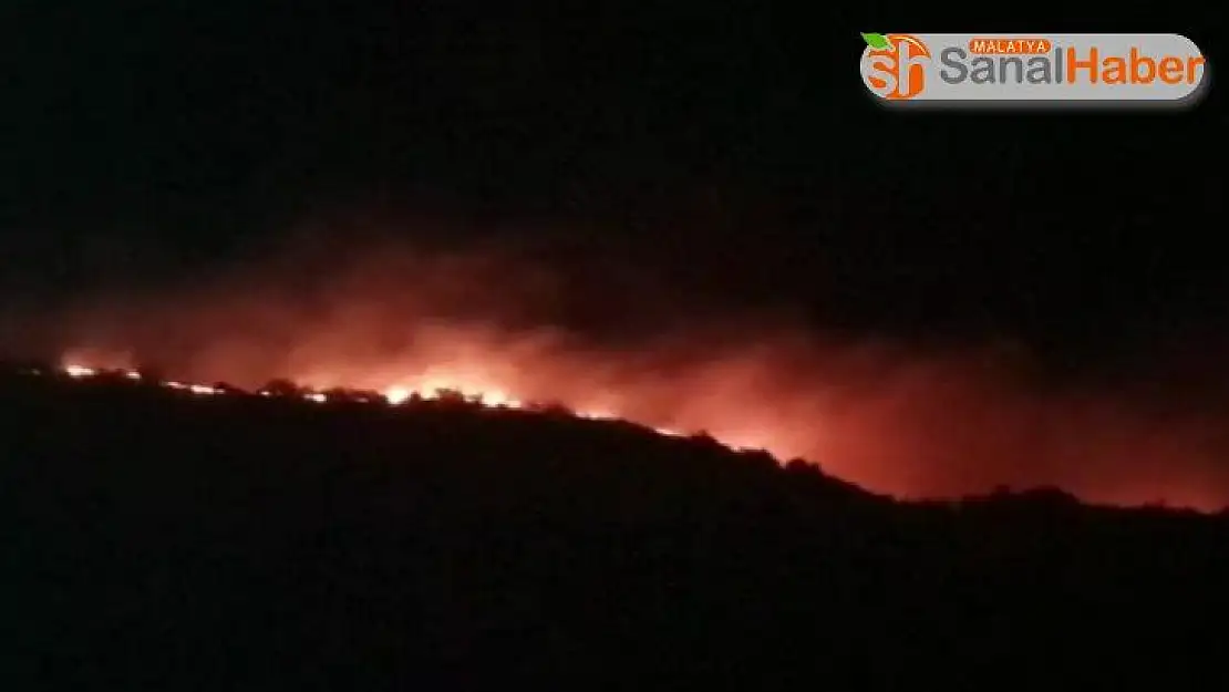 Elazığ'da orman yangını