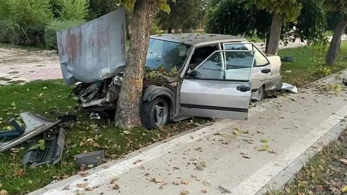 'Elazığ´da otomobil ağaca çarptı: 1 yaralı'