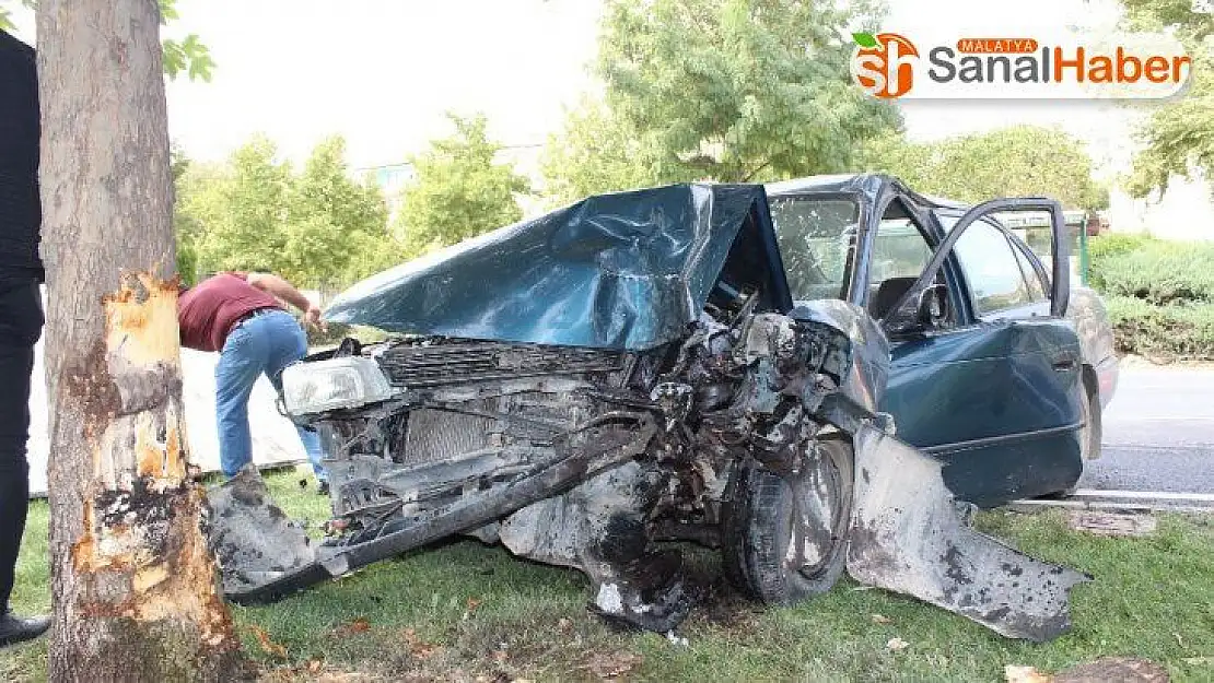 Elazığ'da otomobil ağaca çarptı: 1 yaralı