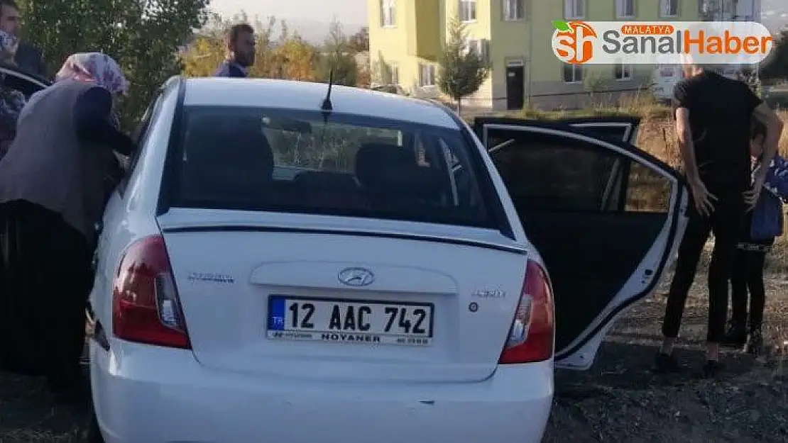 Elazığ'da otomobil yoldan çıktı: 2 hafif yaralı
