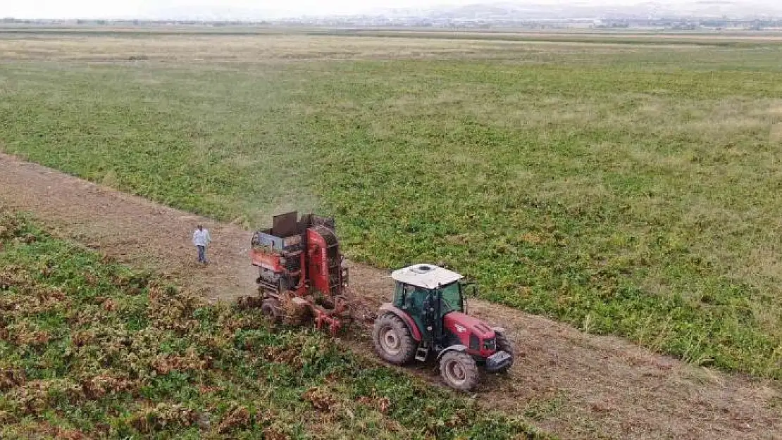 'Elazığ´da şeker pancarı mesaisine başlayan çiftçiler fiyattan memnun'