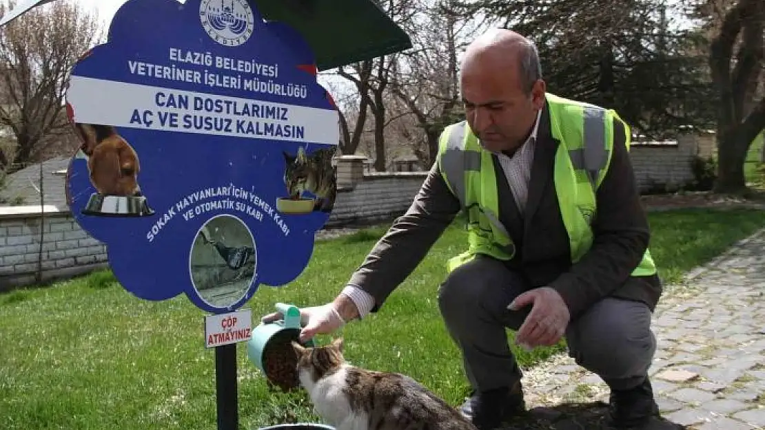 'Elazığ´da sokak hayvanları unutulmadı'