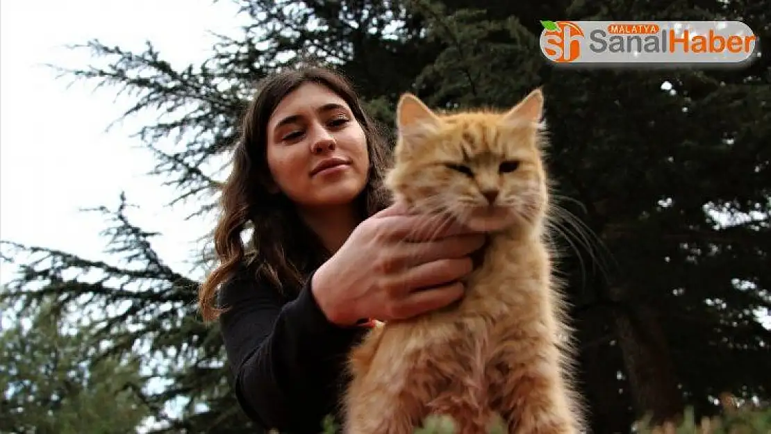 Elazığ'da üniversite öğrencisi, sokak hayvanlarını besliyor