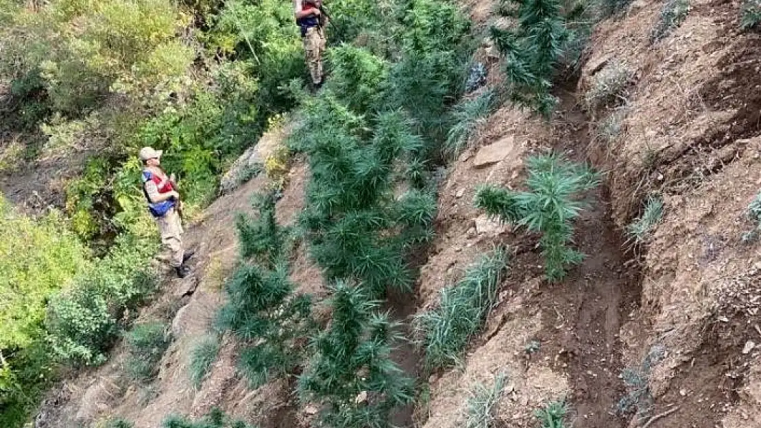 'Elazığ´da uyuşturucu operasyonu'