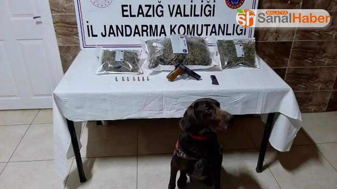 Elazığ'da uyuşturucu operasyonu:2 gözaltı