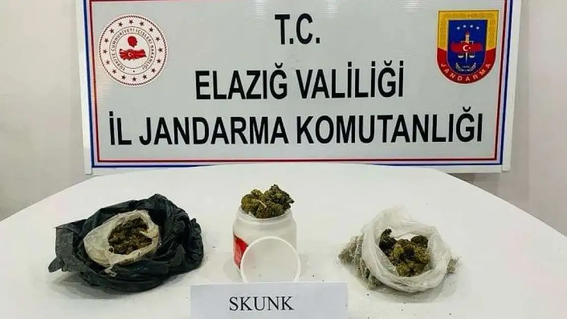 'Elazığ´da uyuşturucuyla mücadele: 1 gözaltı'