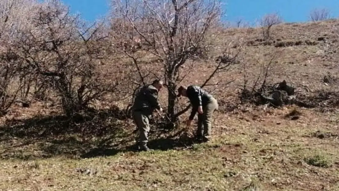 'Elazığ´da yaban hayatı ve kaçak avcılar, fotokapanlarla tespit ediliyor'