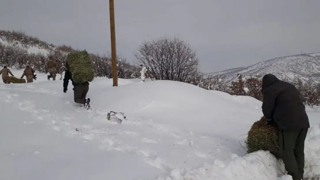 'Elazığ´da yaban hayatına bir ayda 7  ton yem bırakıldı'