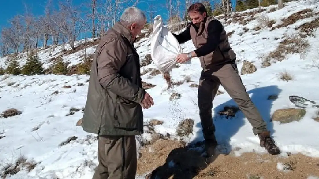 'Elazığ´da yaban hayvanları için doğaya yem bırakıldı'