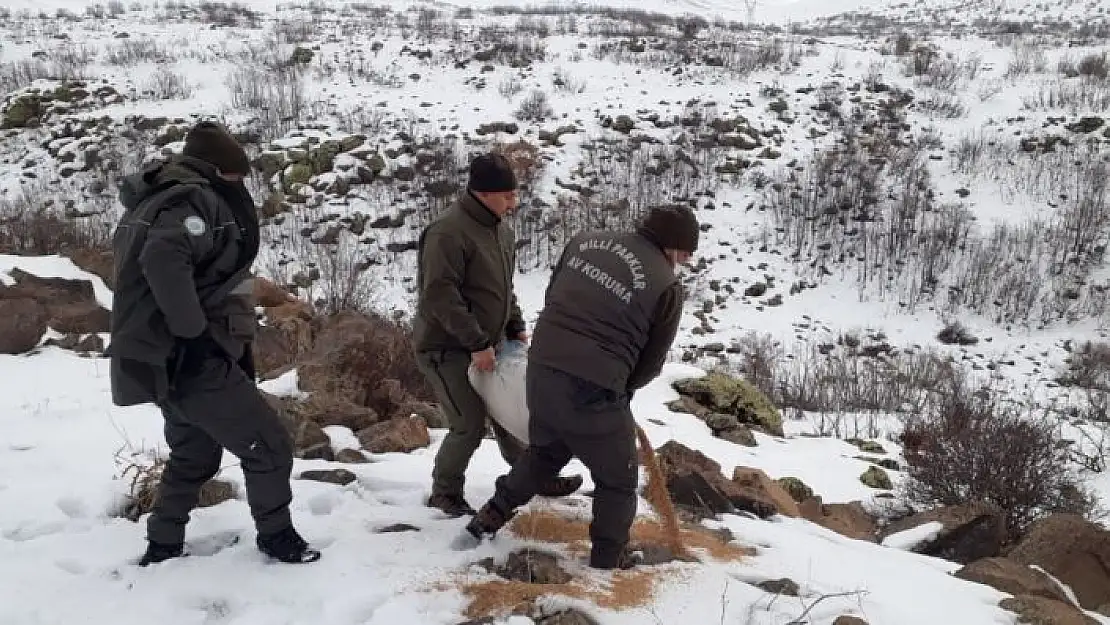 'Elazığ´da yaban hayvanları için doğaya yem bırakıldı'