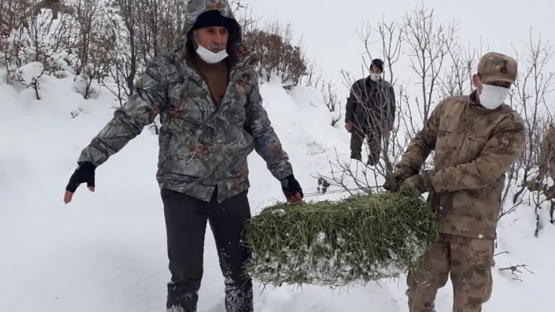 'Elazığ´da yaban hayvanları için doğaya yem bırakıldı'