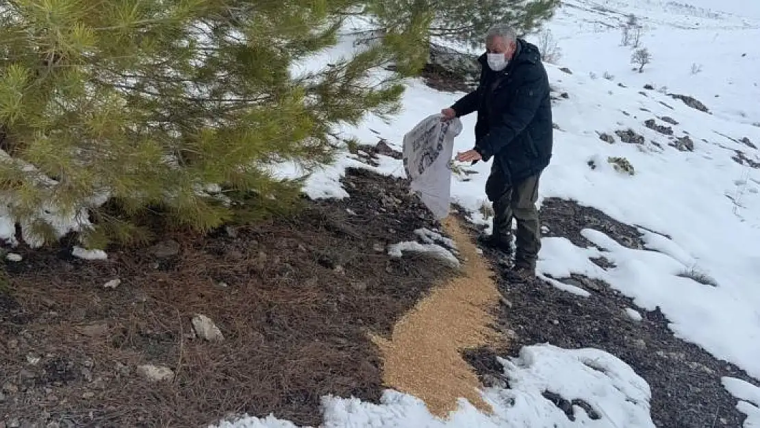 'Elazığ´da yaban hayvanları için doğaya yem bırakıldı'