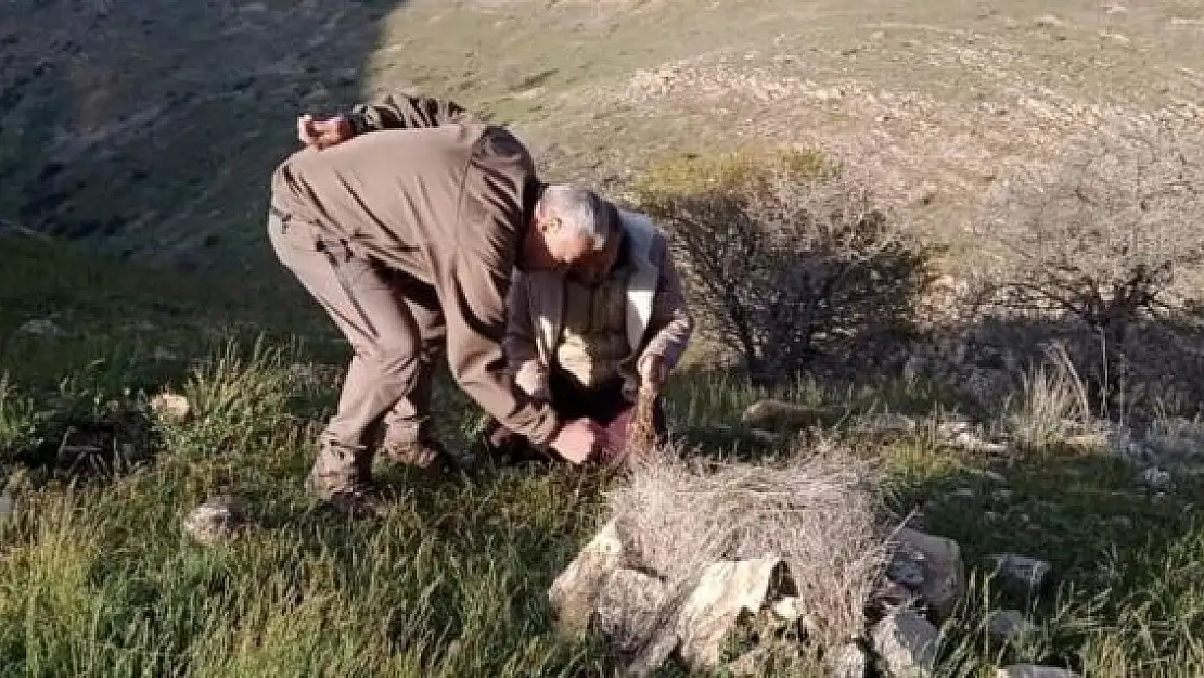 'Elazığ´da yasa dışı avcılık yapan 1 kişiye idari işlem uygulandı'