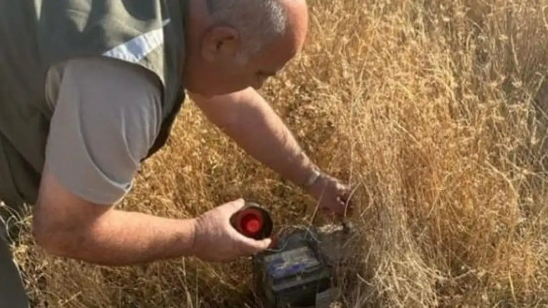 'Elazığ´da yasa dışı avcılık yapan 2 kişiye idari işlem yapıldı'