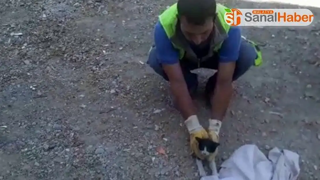 Elazığ'da yıkımı durduran kediler 4 saat sonra kurtarıldı