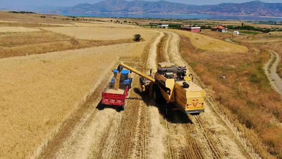 'Elazığ´da yılın ilk arpa hasadı gerçekleştirildi'