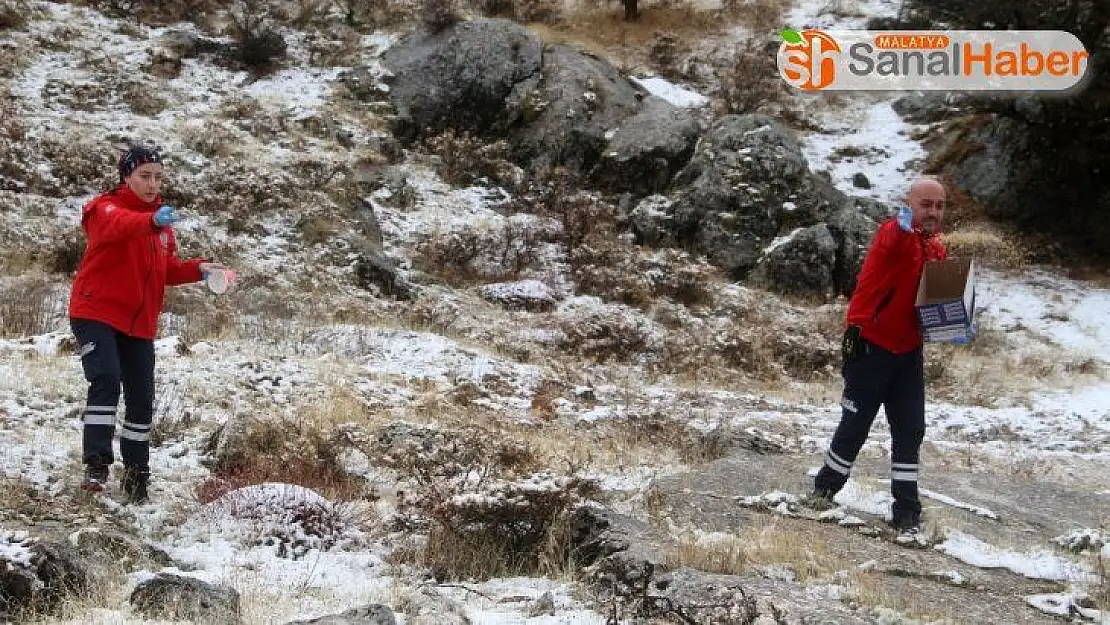 Elazığ'da yüksek kesimlere kar yağdı, sağlıkçılar doğaya yem bıraktı
