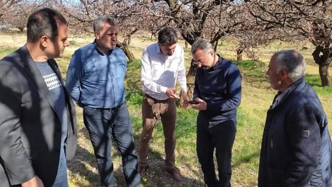 'Elazığ´da zirai don nedeniyle hasar tespit çalışmaları başladı'