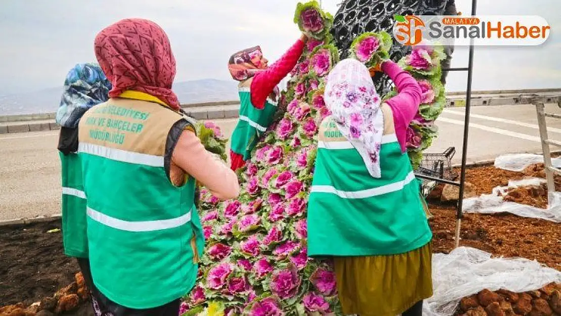 Elazığ dikey bahçelerle renkleniyor