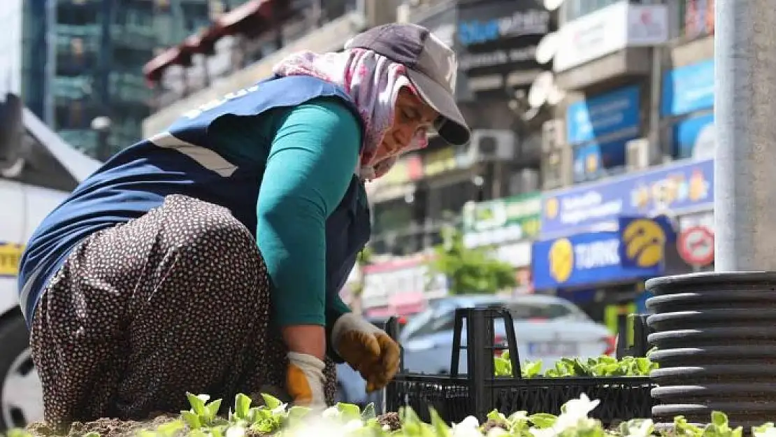 'Elazığ, kadın eliyle güzelleşiyor'