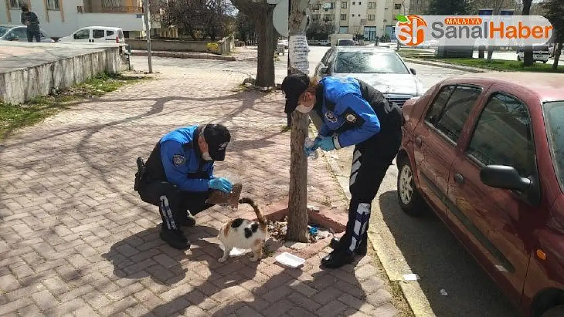 Elazığ polisi, sokak hayvanları için görevde